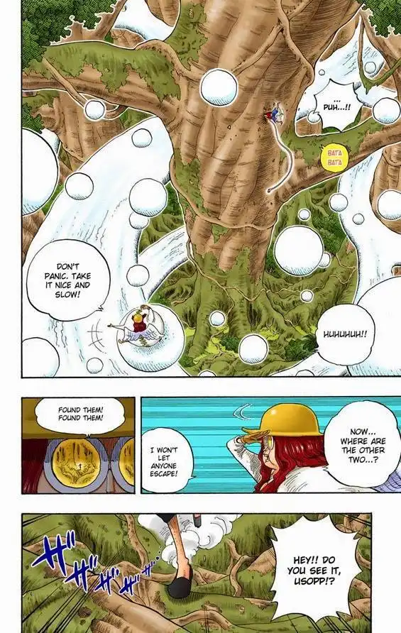 One Piece - Digital Colored Comics Chapter 247 8